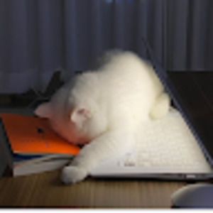 Meet your Posher, Jen